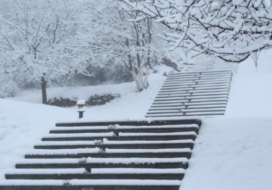 �Ͼ�������F���c�P�T��Ԫ��ȥ�Ͼ����˶಻��