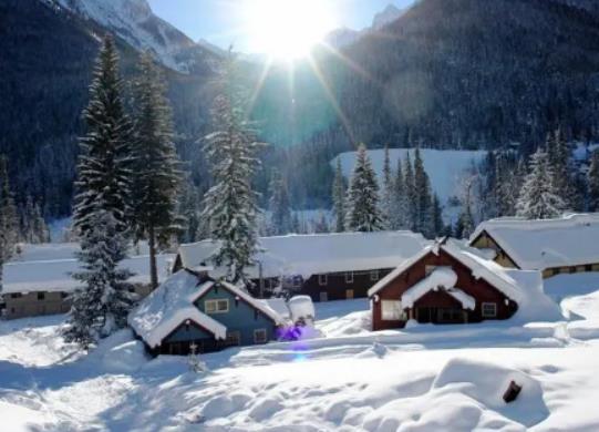 2024���������ע��ʲô��2023�굽2024�궬��ʲô�r(sh��)��Y(ji��)��