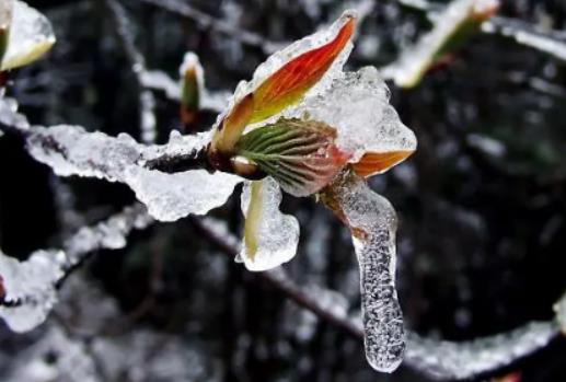 2023����2024�궬���Ў״κ��������׃ů��ν��꺮������