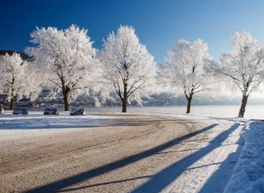 ����ÿ�����F(xi��n)��ʲô�r�򣿺����a����ԭ����ʲô