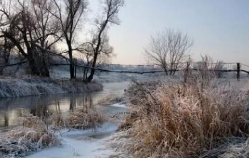 ��ν��A�y�����ИO����⣿�������R�����m(x��)���