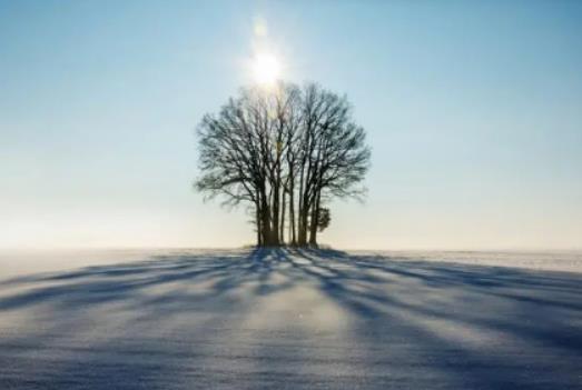 2024��ӭ��������������Ć᣿���궬������������߀���t