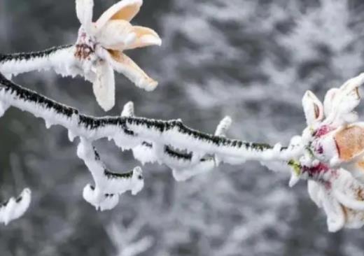 2024�������ش󺮳��᣿2023���Ϸ������������к���