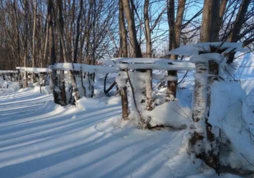 深圳的冬天分別是哪幾個月?2023年深圳一般幾月份開始冷一點 深圳的冬天分別是哪幾個月?2023年深圳一般幾月份開始冷一點