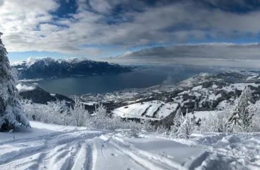深圳幾月份開始冷一點?深圳冬季要什么時候才開始變冷 深圳幾月份開始冷一點?深圳冬季要什么時候才開始變冷