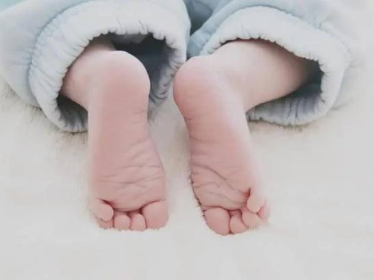 ֧ԭ�w�������Ă�ʡ�l���ʸߣ�֧ԭ�w���������w�ϴ����