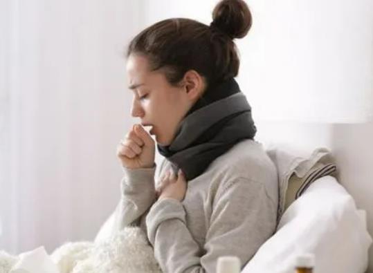 ֧ԭ�w���׶�Õ����D��֧ԭ�w����Ҫ�ɿ���Щʳ��