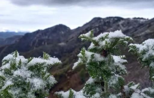 ����һ���е����Ҫ��ׂ��£������Ă��ط�ÿ�궼����ѩ