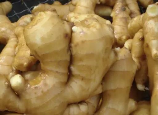 ������ϥ�w�и����Æ᣿������ϥ�w��������