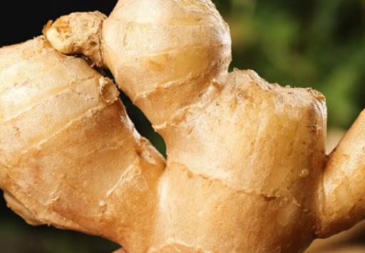 ��Ƭ��ϥ�w���Ǻ����؆���������ϥ�w���Ƃ���