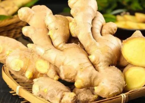 姜末敷腳心一般敷多久?每天早上喝一杯姜水會(huì)排濕氣真的嗎 姜末敷腳心一般敷多久?每天早上喝一杯姜水會(huì)排濕氣真的嗎