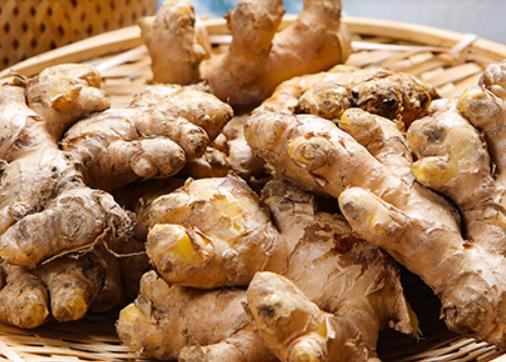 生姜可以直接貼腳心嗎?小孩感冒能不能用姜貼在腳底 生姜可以直接貼腳心嗎?小孩感冒能不能用姜貼在腳底