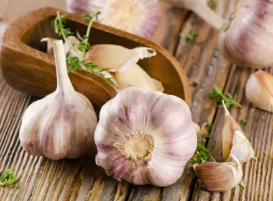 大蒜返青期是什么時候?大蒜怎么養護 大蒜返青期是什么時候?大蒜怎么養護