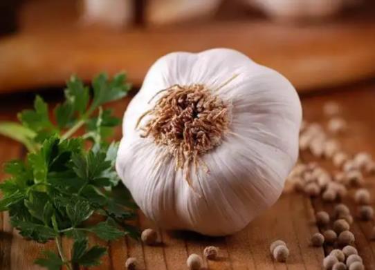 如何種出高品質大蒜苗?大蒜上撒草木灰好嗎 如何種出高品質大蒜苗?大蒜上撒草木灰好嗎