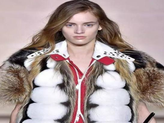 十大皮草加盟品牌排行榜,KC皮草顏色正宗、芬迪皮草是知名奢侈品牌 十大皮草加盟品牌排行榜,KC皮草顏色正宗、芬迪皮草是知名奢侈品牌