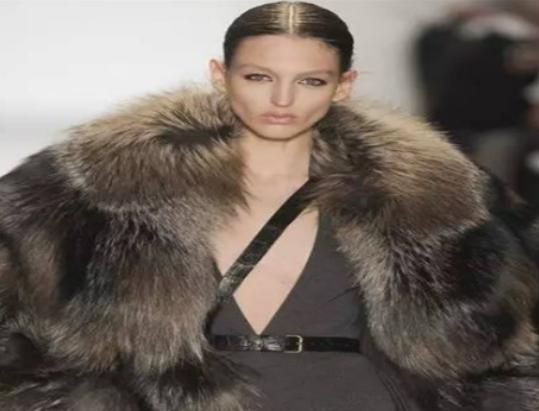 十大皮草加盟品牌排行榜,KC皮草顏色正宗、芬迪皮草是知名奢侈品牌 十大皮草加盟品牌排行榜,KC皮草顏色正宗、芬迪皮草是知名奢侈品牌