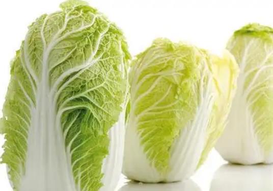 夏種大白菜為啥不包心?霜降前后能種大白菜嗎 夏種大白菜為啥不包心?霜降前后能種大白菜嗎