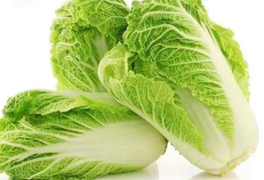 白菜怎么養才長得旺盛?娃娃菜是沒長大的白菜嗎 白菜怎么養才長得旺盛?娃娃菜是沒長大的白菜嗎