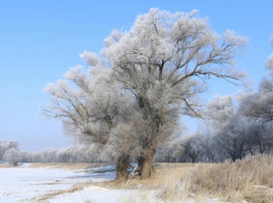 2024年哈爾濱冰雪節是什么時候?2024年哈爾濱冰雪大世界3月份還開不開門 2024年哈爾濱冰雪節是什么時候?2024年哈爾濱冰雪大世界3月份還開不開門