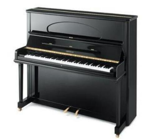 世界十大鋼琴品牌排行榜,施坦威鋼琴、貝希斯坦鋼琴制琴技術很精湛 世界十大鋼琴品牌排行榜,施坦威鋼琴、貝希斯坦鋼琴制琴技術很精湛