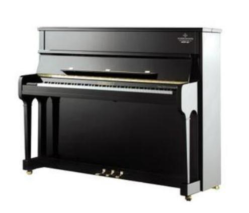 世界十大鋼琴品牌排行榜,施坦威鋼琴、貝希斯坦鋼琴制琴技術很精湛 世界十大鋼琴品牌排行榜,施坦威鋼琴、貝希斯坦鋼琴制琴技術很精湛