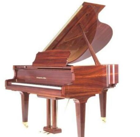 世界十大鋼琴品牌排行榜,施坦威鋼琴、貝希斯坦鋼琴制琴技術很精湛 世界十大鋼琴品牌排行榜,施坦威鋼琴、貝希斯坦鋼琴制琴技術很精湛