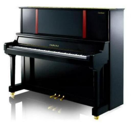 世界十大鋼琴品牌排行榜,施坦威鋼琴、貝希斯坦鋼琴制琴技術很精湛 世界十大鋼琴品牌排行榜,施坦威鋼琴、貝希斯坦鋼琴制琴技術很精湛