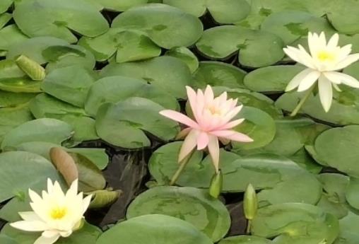 ɏ����˯ɏ�ą^�e��������˯ɏ���~��ô�k