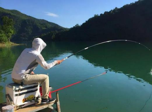 黑坑釣魚要注意什么?夜釣餌料怎么選 黑坑釣魚要注意什么?夜釣餌料怎么選