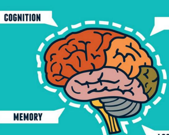 十大全腦開發(fā)加盟品牌排行榜,世紀全腦開發(fā)教育專注培養(yǎng)孩子全方位發(fā)展 十大全腦開發(fā)加盟品牌排行榜,世紀全腦開發(fā)教育專注培養(yǎng)孩子全方位發(fā)展