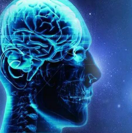 十大全腦開發(fā)加盟品牌排行榜,世紀全腦開發(fā)教育專注培養(yǎng)孩子全方位發(fā)展 十大全腦開發(fā)加盟品牌排行榜,世紀全腦開發(fā)教育專注培養(yǎng)孩子全方位發(fā)展