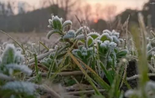 2024年年后幾月份開始回溫?2024年六九天氣還冷嗎 2024年年后幾月份開始回溫?2024年六九天氣還冷嗎