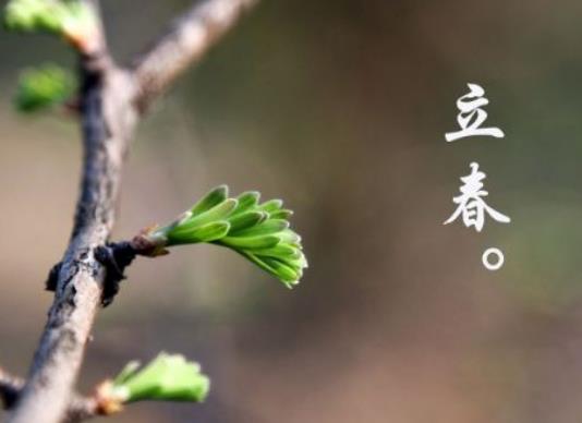 2024����ǎ׾ţ�2024��򴺶㴺���Ă�����