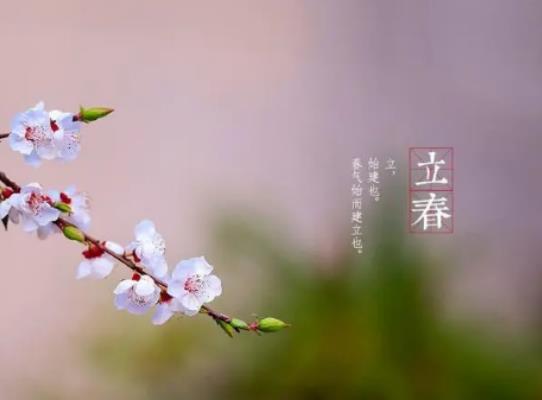 2024����Щ��ФҪ�㴺���㴺��ʲô�ɫ���·�