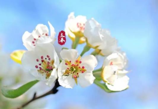 2024����Щ��ФҪ�㴺���㴺��ʲô�ɫ���·�