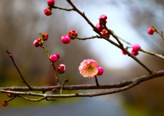 ��ʲôҪ�㴺��������(d��ng)���ʲôҪ�㴺