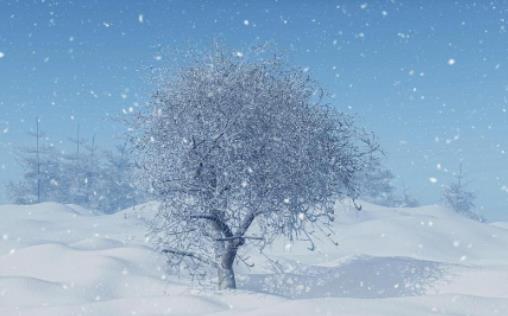 2024年北京3月份還會下雪嗎?2024年北京3月份還冷嗎 2024年北京3月份還會下雪嗎?2024年北京3月份還冷嗎