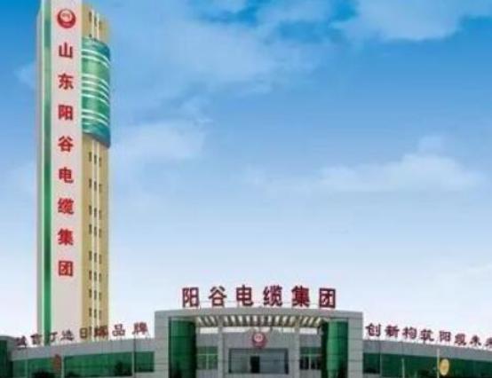 中國十大電纜廠家排名,寶勝電纜質(zhì)量好、勝華電纜令人安心 中國十大電纜廠家排名,寶勝電纜質(zhì)量好、勝華電纜令人安心