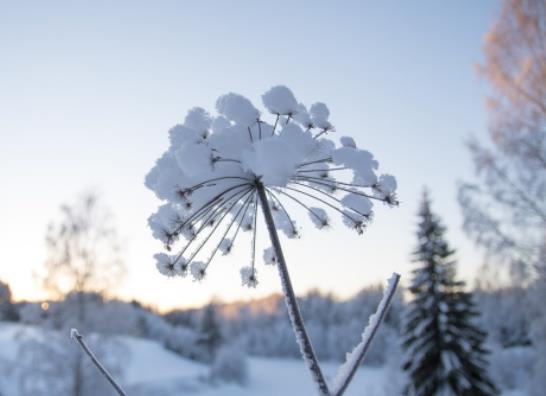 2024���������һ����2024�ꔵ(sh��)����ʲô�r��Y(ji��)��