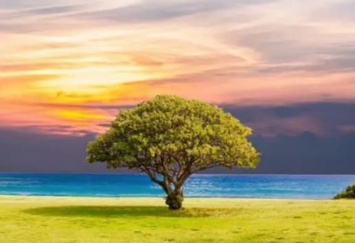 北京市停暖時間是什么時候?2024年北京3月份還會下雪嗎 北京市停暖時間是什么時候?2024年北京3月份還會下雪嗎