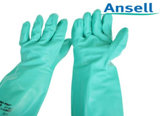 ʮ���t������Ʒ�����а�������˹���׺ܕ��N�����R˹����ȫ���I��