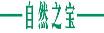 ʮ�󌚌�Һ�w�}���а񣬜�������Һ�w�}���}����Һ�w�}�������M����ه