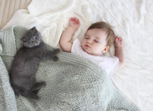 ���������Ҫ����˯������؝˯�����L���w��