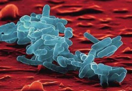 ����֧ԭ�w��������·��Ⱦ�� ֧ԭ�w�����Н����چ�