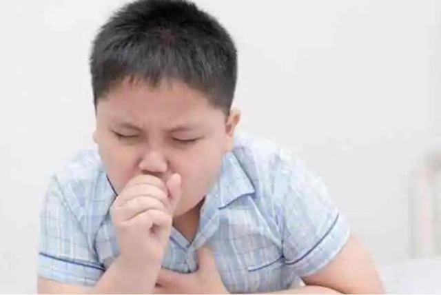 ֧ԭ�w���׵Ă�Ⱦ�ԏ��� ֧ԭ�w���׶�ò���Ⱦ