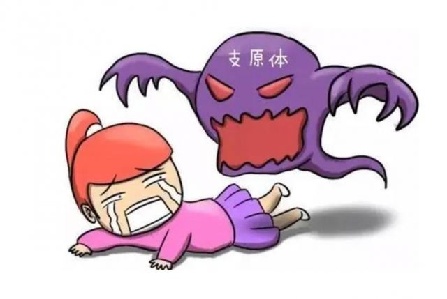 ֧ԭ�w�w����r�g ֧ԭ�w�՚��Ⱦ��