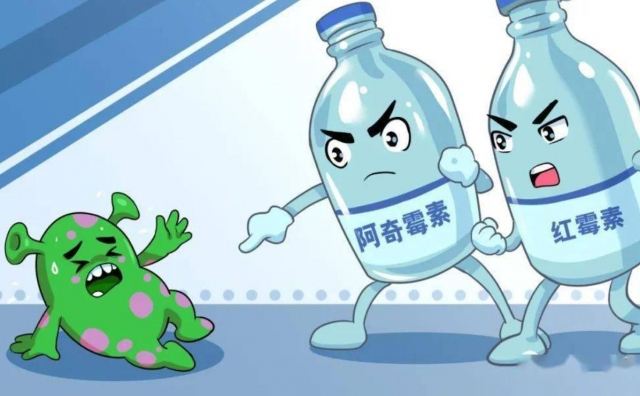 ֧ԭ�w�w����r�g ֧ԭ�w�՚��Ⱦ��