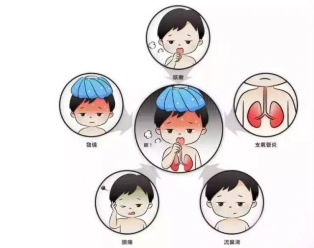 ֧ԭ�w��Ⱦ��ʲô ֧ԭ�w��Ⱦ���S̵߀�ǰ�̵