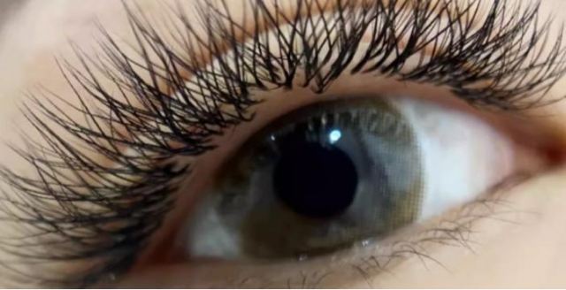 內行人為什么不建議種睫毛 睫毛可以種植永久的嗎 內行人為什么不建議種睫毛 睫毛可以種植永久的嗎