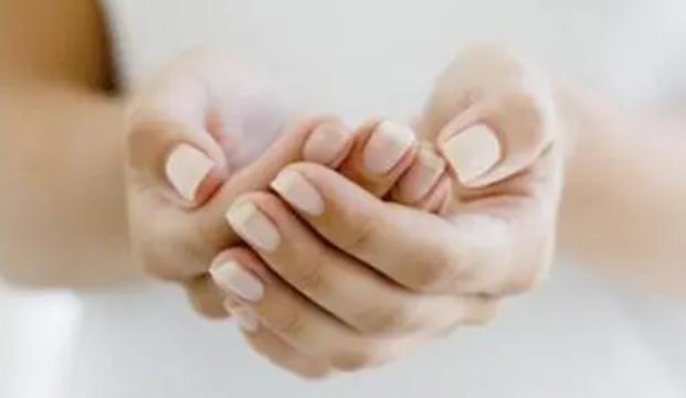 黃芪泡水可以長期喝嗎 那些人不適合喝黃芪水 黃芪泡水可以長期喝嗎 那些人不適合喝黃芪水